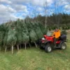 artificial Christmas trees bulk wholesale
